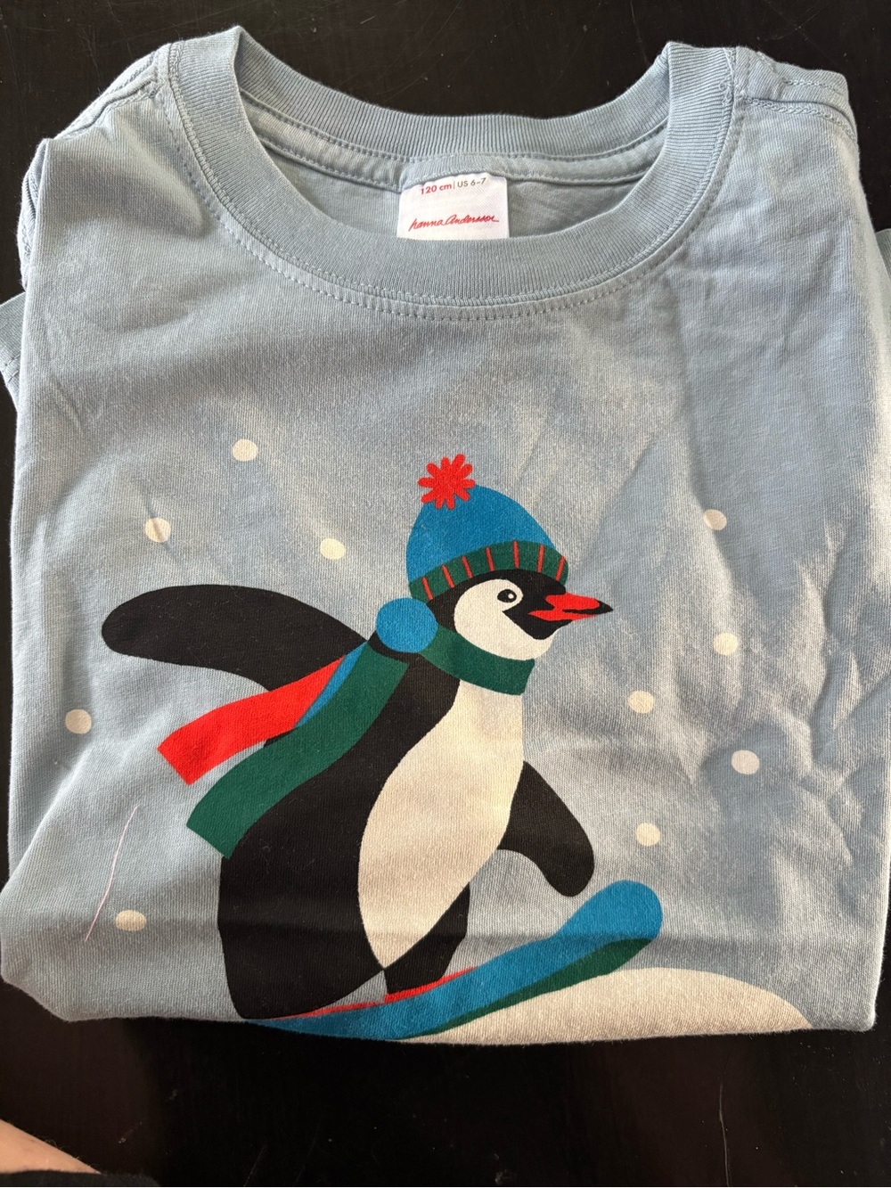 Hanna Andersson Light Blue Penguin Snowboard Tee